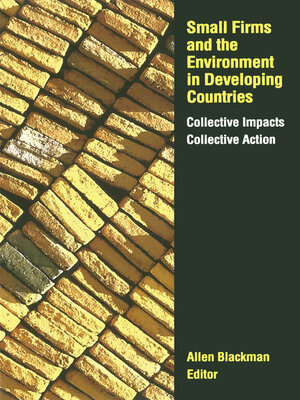 cover image of Small Firms and the Environment in Developing Countries